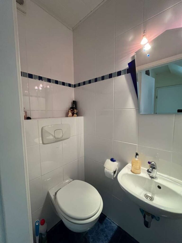 innenansicht_gaeste-wc-xl