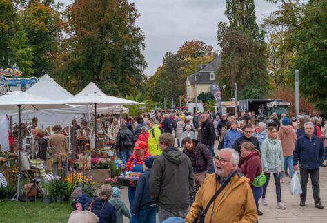 2HVCFXWVNFHCBMSM4OOFVLISXY