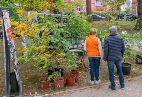 2N6753T52RGQLENHWZZV5KWGHM