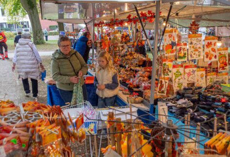 5NTOBEJ6SZBUFNO33PKIG6OLAU