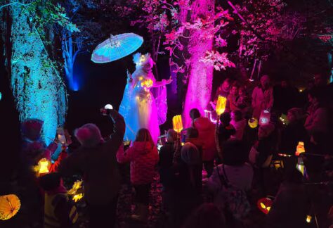 DDOHDFMLLVEIVMARTDV5RAYYOQ