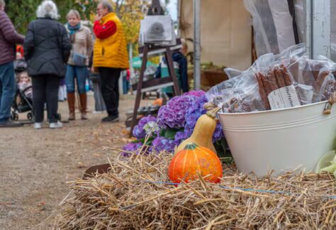 EVO7JZ2HLRHDZILOCNYGDD3WYI