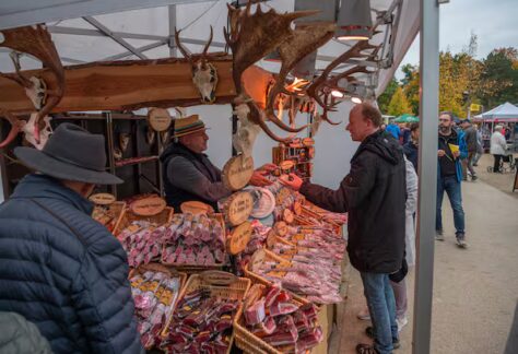 FQQJPEWKMFC6ZEGYRBTWVZ5XKI