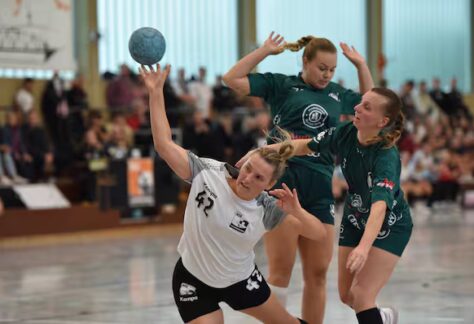 HWXCEWMSHNHJBPES26PSZS7434