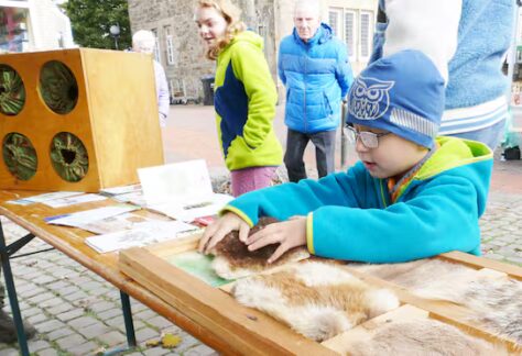 MTFHJGMK55FBXIAPTOHPSN3BSE