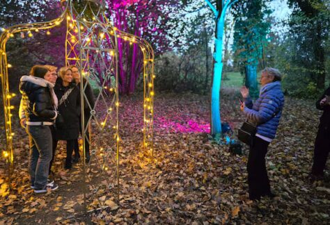 PYJLMWWRVZAAZLYXAJZ53VAHCI