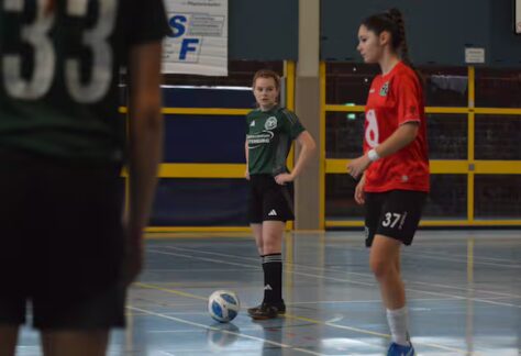 4J6GHEU5BBD7TMOQQSAOFCNYYI