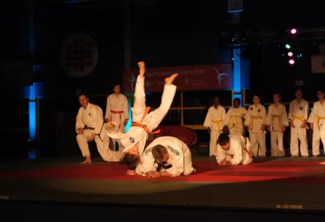 6OGLGGYV3NHFLFXPERXG4KGJ64