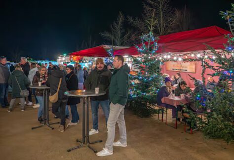 H45PPD75DFGXHKTZ5JGXNE56VA