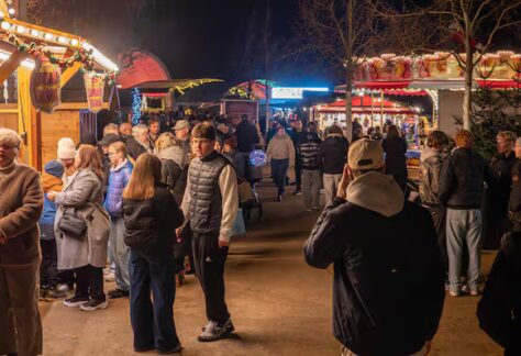 PZV663FDBVD2LGDKJFGOAOVLEA