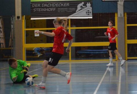 SKPMC266LVDIVAFRVNUHOFQGAM