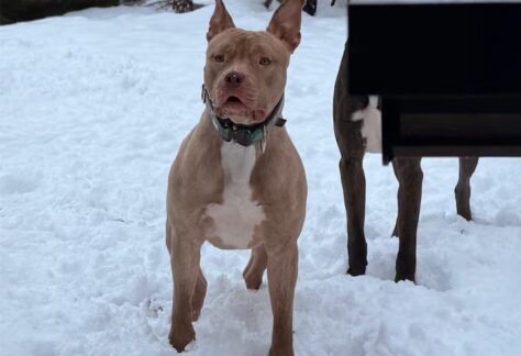 24QKBTXNAFDINMFA5TT37IDAFQ