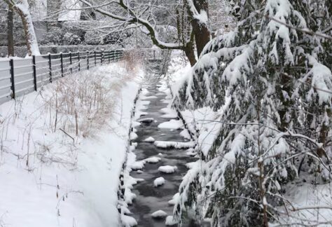 33CKSEMFR5D5NNWTXH7RNJ72FE