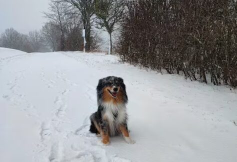 FBJNATJGJBCV7KN2QCMW65SP4E