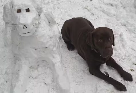 HAWDDGUBDRDYHL24OI3LNBMPEA