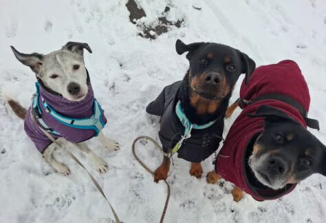 NAC2J3SENVEQBOUBSMPFPG6YRU