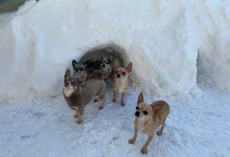 UPGBMPPFWVGH5HVWK3WXU3DPCY