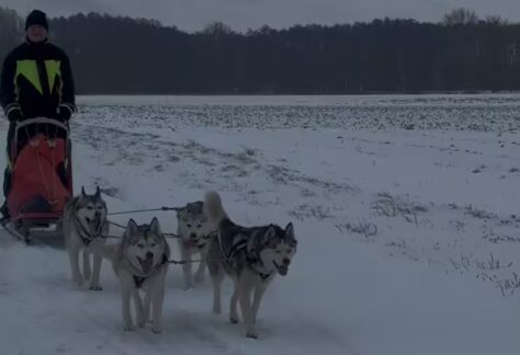 XWQ3LKDTAJBV5MGXDOK347RY5E