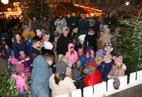 YX6A6I4CTNGM7IUH67FAHORLHA