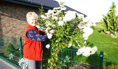 Li-Blumen2 Li-Blumen2